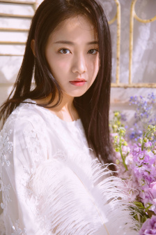 官场新秀txt